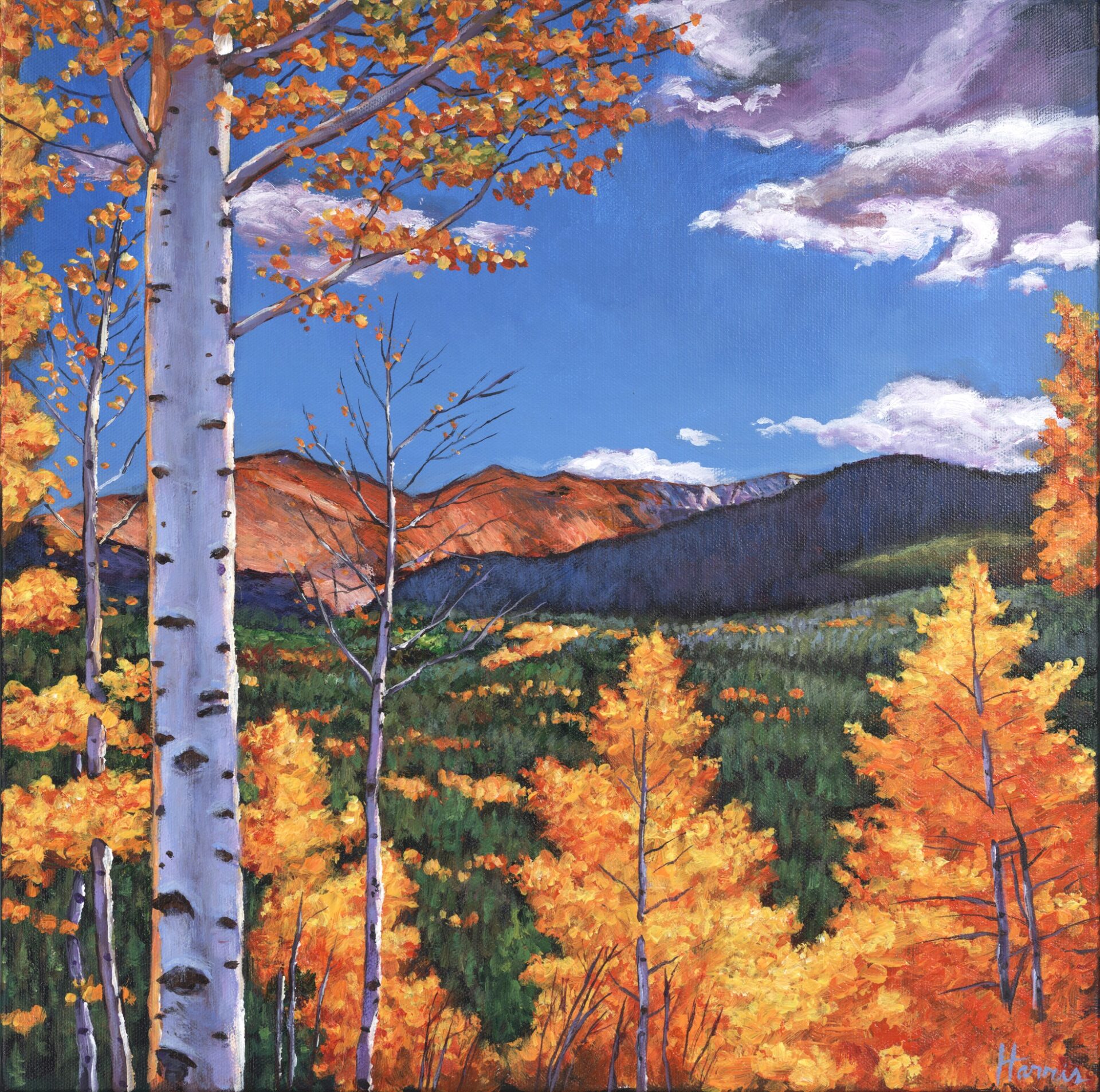 Aspen Awakening painting