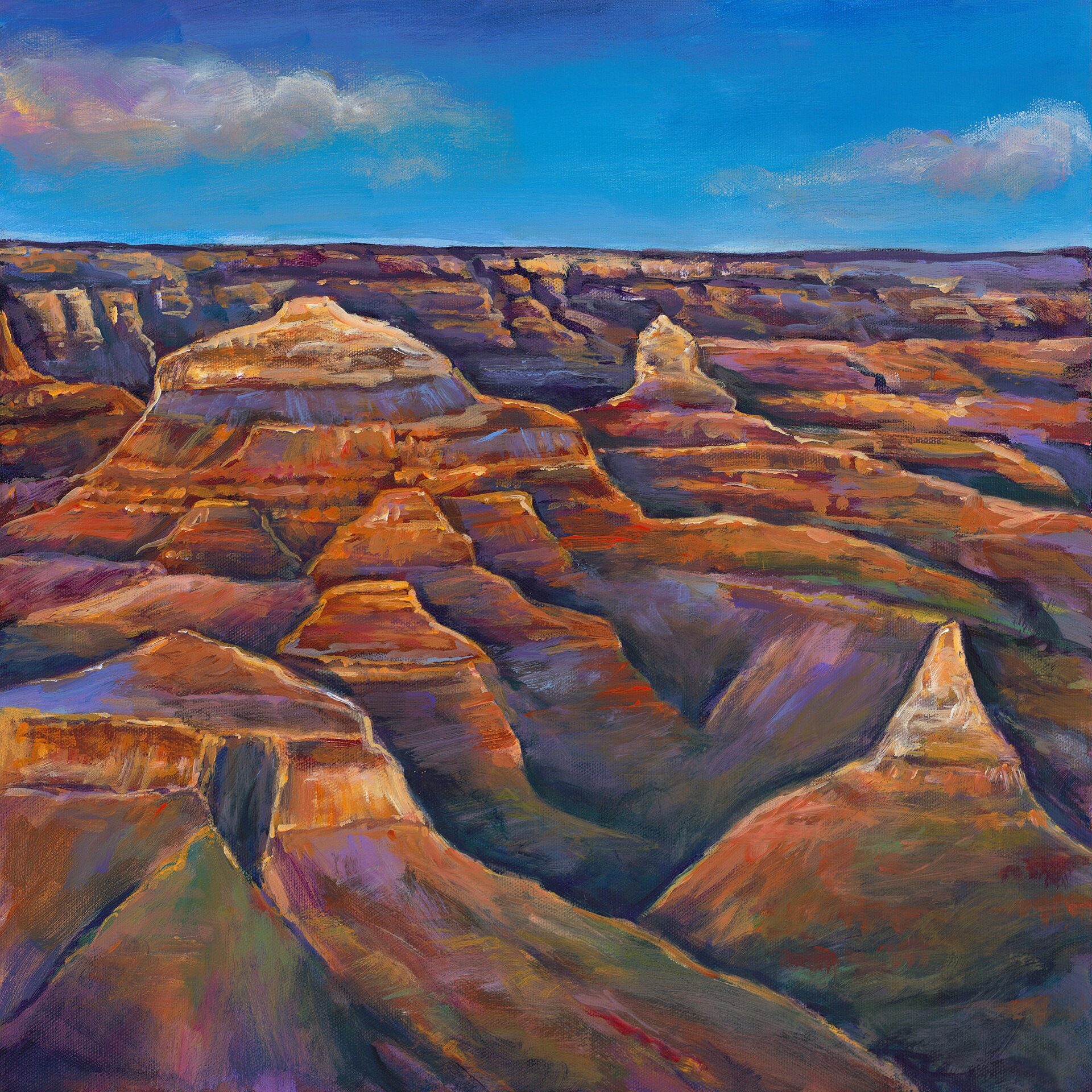 Shadow Canyon painting